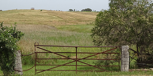 Farm Gate with Redgum Posts, Lot 50_Malone