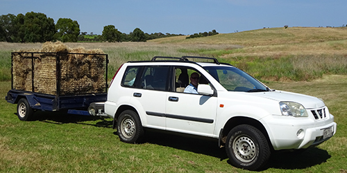 Hay cartage, Lot 50_Malone