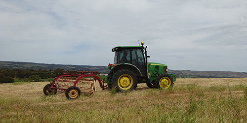 Hay Raking, Lot 50, Oct, 2015_Malone
