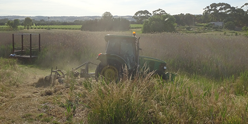 Into the tuff stuff, Lot 50_Malone