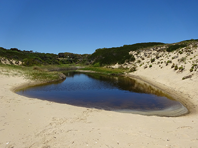 Maslin Creek Mouth_Malone