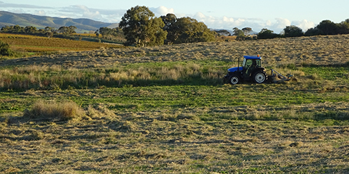 Pasture slashing autumn_Malone 2015