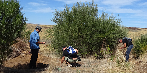 Preliminary archaeological investigations, Lot 50_Malone