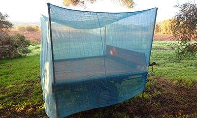 Sleeping Platform_Malone