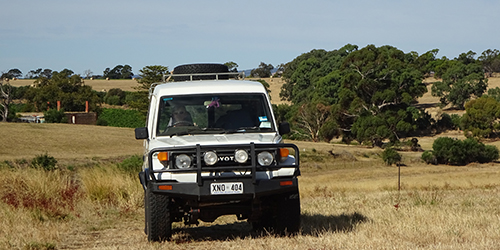 Veronica arrivng at Lot 50-Kanyanyapilla_Malone