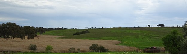 Winter, Lot 50 (2)_Malone