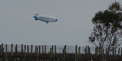 Its a bird, plane ... Lot 50, Aug.2015_Malone