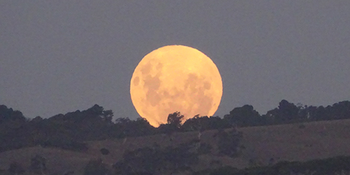 Moonrise Easter Saturday 2015 (2) _Malone