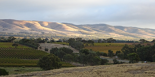 Patterns of land use, evening light_Malone