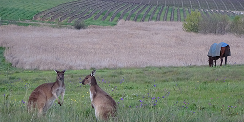 The Mowers, Lot 50_Malone