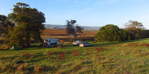 Winter camp, Lot 50_Malone