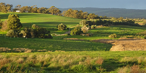 Winter light July 2015, Lot 50 _Malone