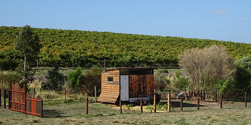 Culture Shack, Lot 50_Malone