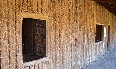 Pine awaiting pug FRNP_sml_Malone