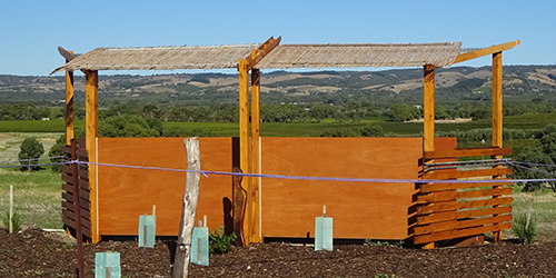 Sandhill Shelter, Lot 50_Malone