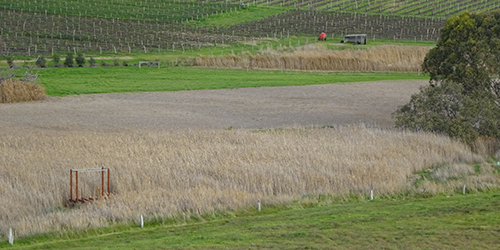 Viewing platform location, Lot 50_Malone