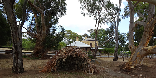 Wodli, Willunga Courthouse 2014, Karl Telfer