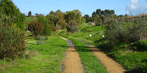 Branson Track, L50K_Malone