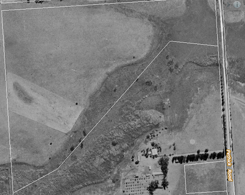 1949 Maslin Creek Swamp L50K_Malone