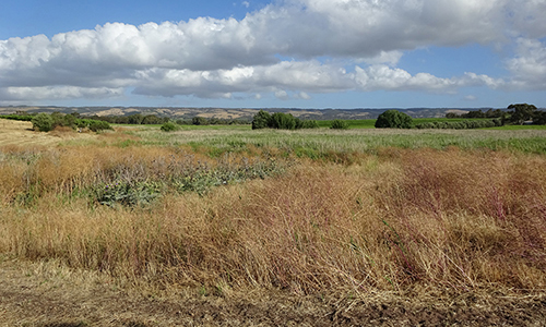 L50K, 2014, November_Malone