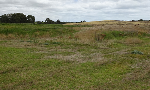 L50K, 2015, January (1)_Malone