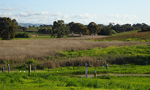 L50K, 2015, September_Malone