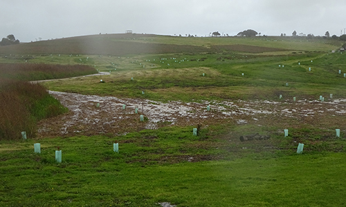 L50K, 2016, September_Malone