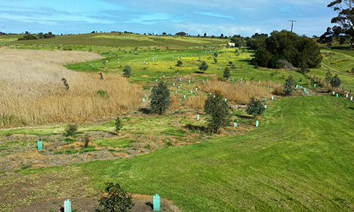 L50K, 2018, September_Malone