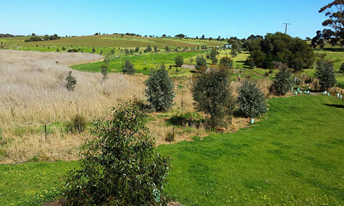 L50K, 2019, September_Malone