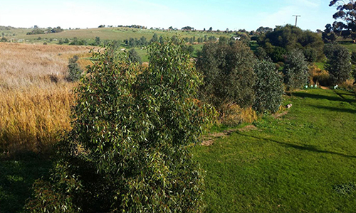 L50K, 2020 June_Malone