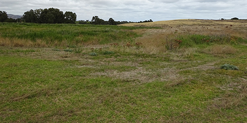 L50K 2015 - February, Malone