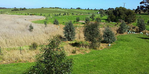 L50K 2019 -September, Malone