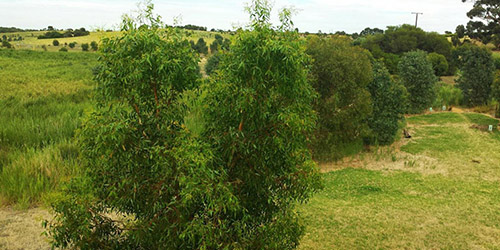 L50K 2021 - February, Malone