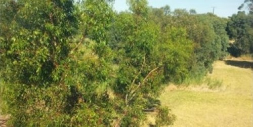 L50K 2023 - February, Malone